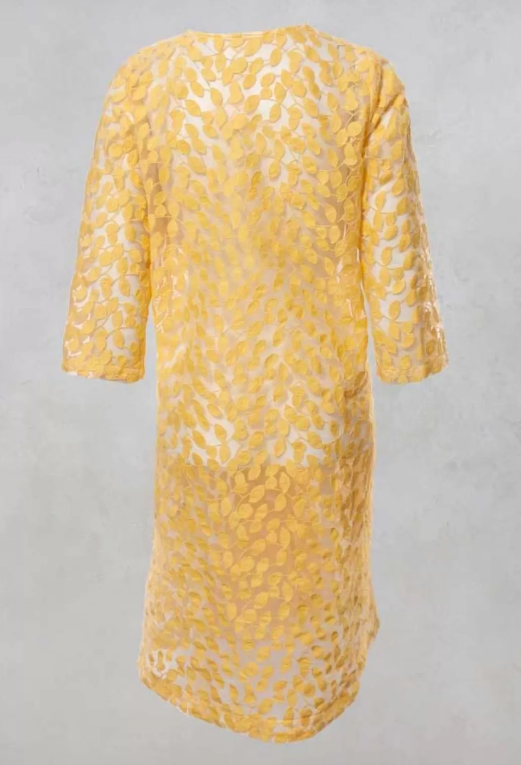 Coats^Out of Xile Sheer Printed Midi Coat With Button Front In Sorbet