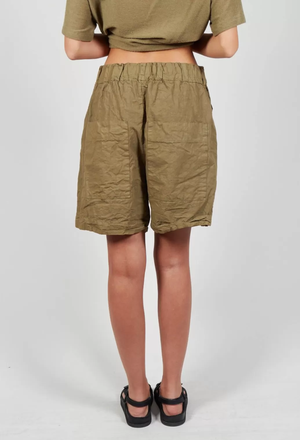 Shorts^Album Di Famiglia Shorts Cc In Khaki